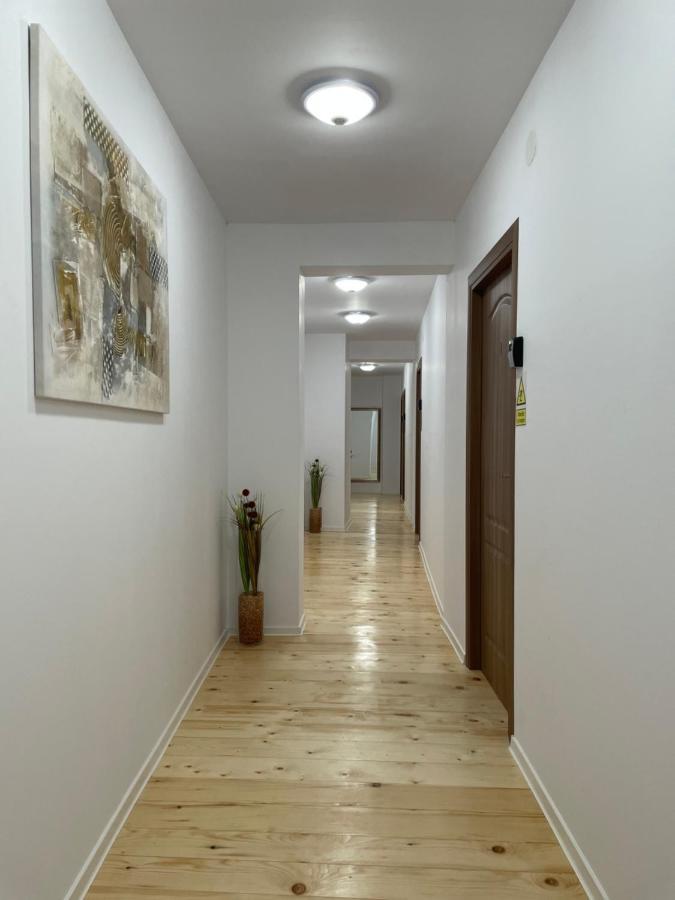 Schei Central Studios In The Heart Of Брашов Экстерьер фото